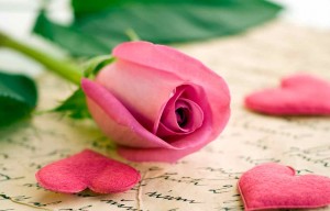 Cartas de Amor y Tarot para el amor, Single Life punto es